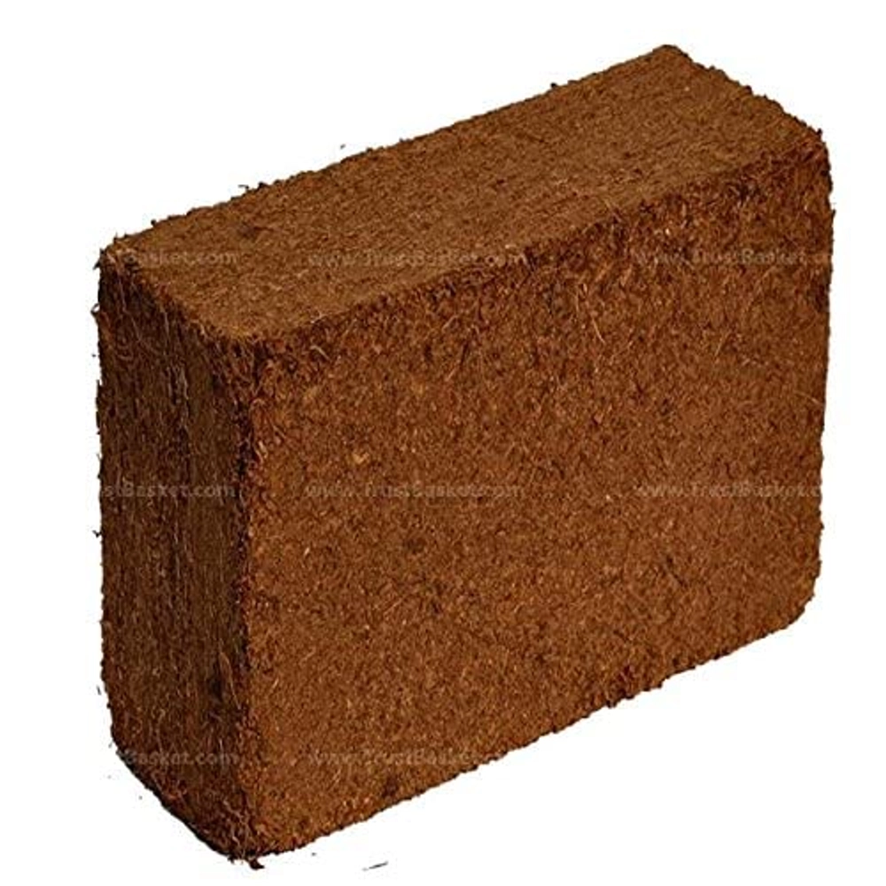 Buy Evergreeness India Cocopeat 5 Kg Block Expands Upto 75 Litres Of