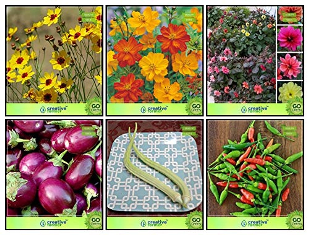 Buy Evergreeness India Best Garden Seeds Combo Flower Seeds & Vegetable ...