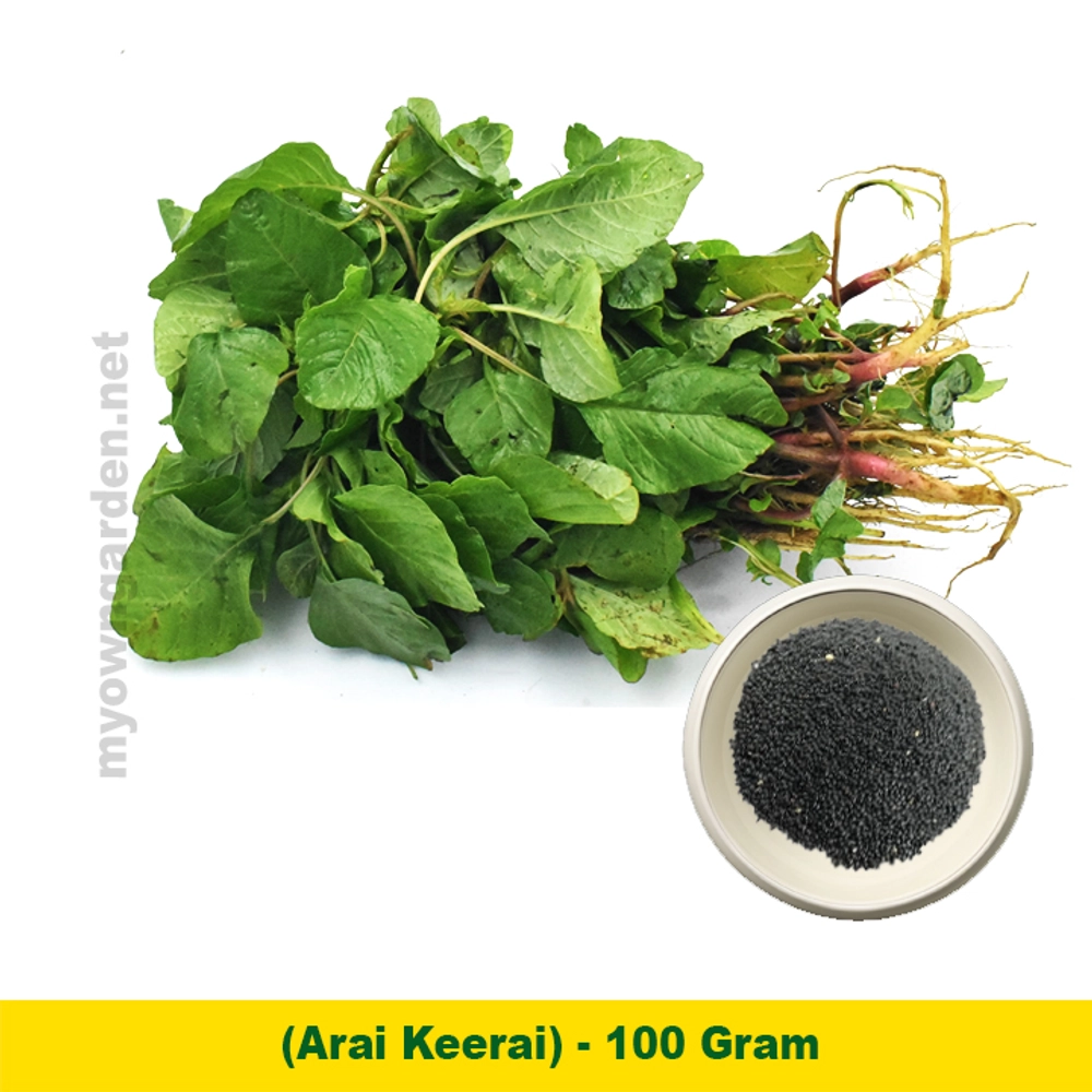 Arai Keerai 100 Gram - Fresh and Organic அரை கீரை