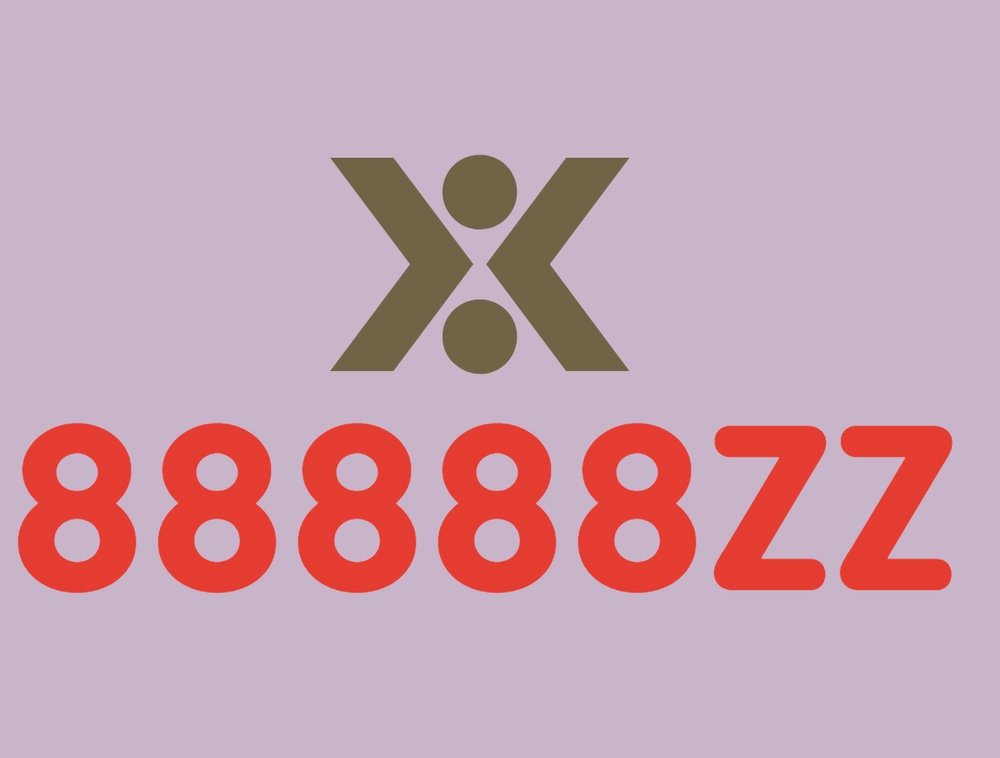 88888zz-a-premium-cheap-name-for-your-brand-and-website