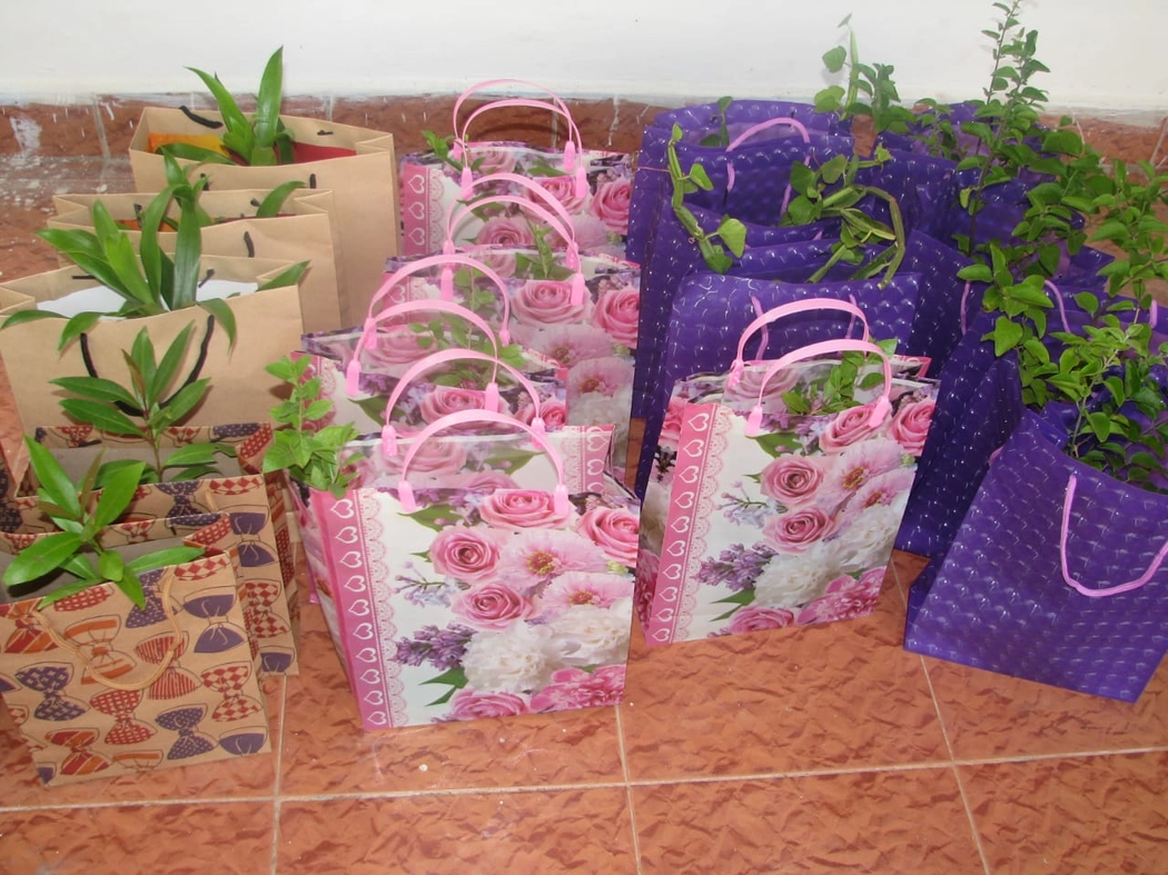 Return Gift for Plants - 200 Nos