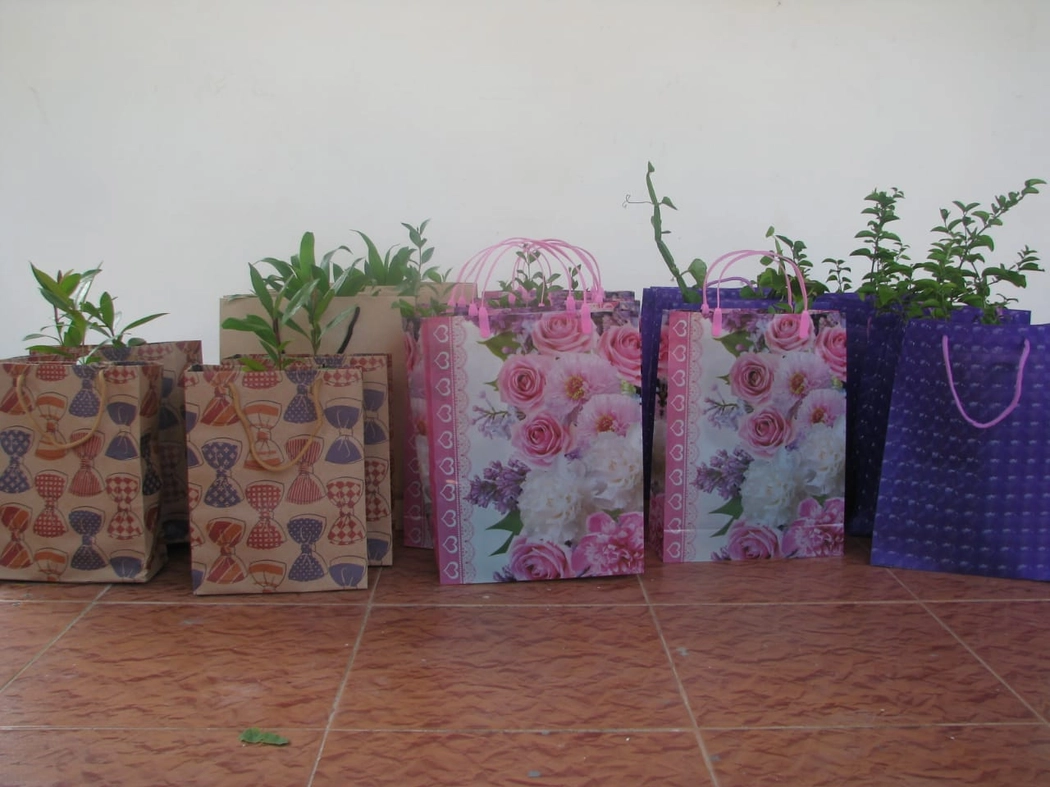 Return Gift for Plants - 200 Nos
