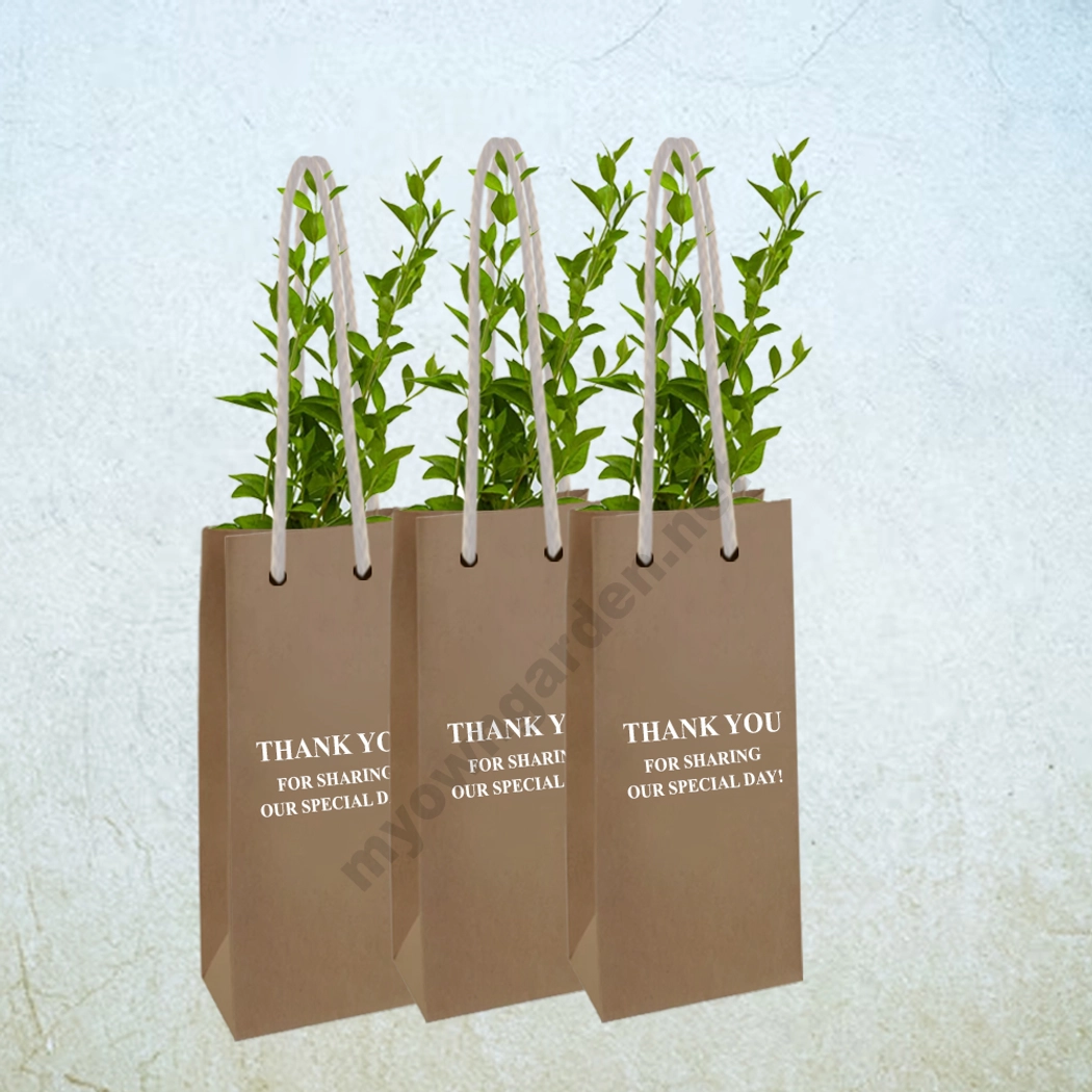 Return Gift Plants With Paper Bags & Printed Quotes