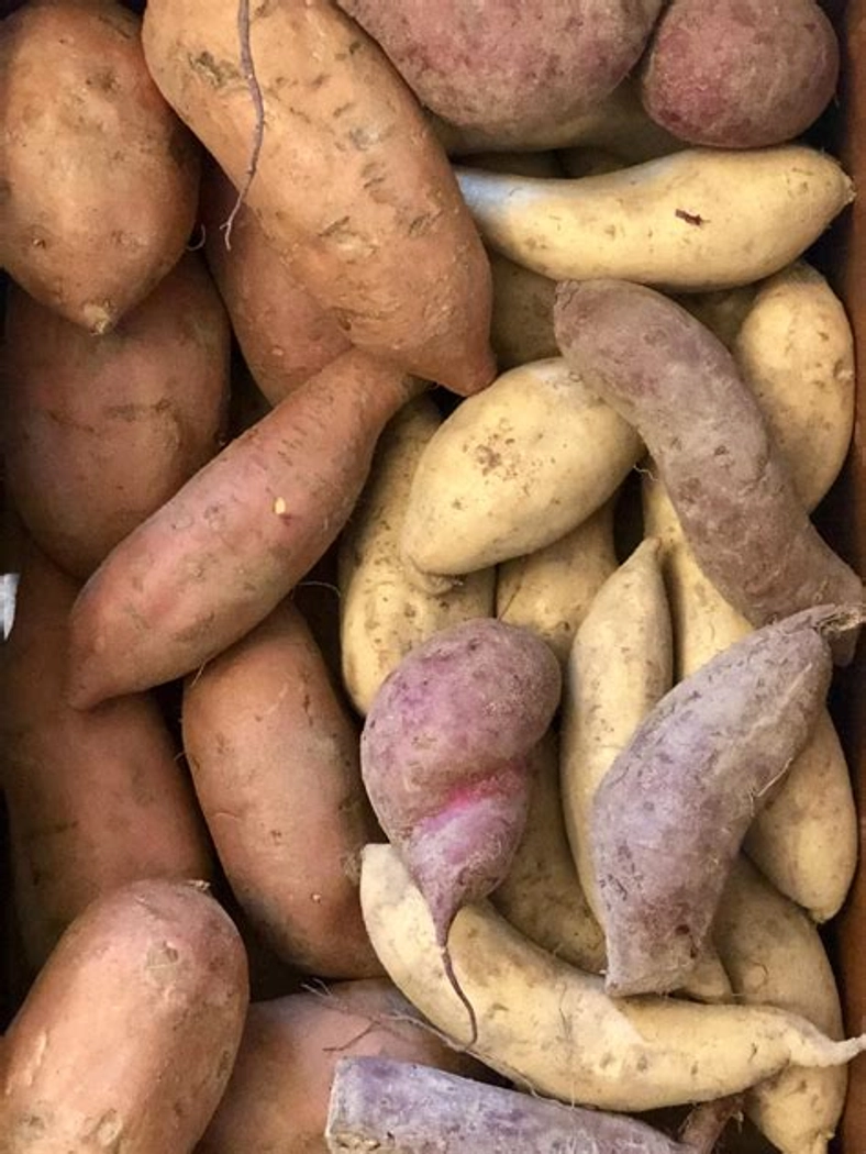 Sweet Potato