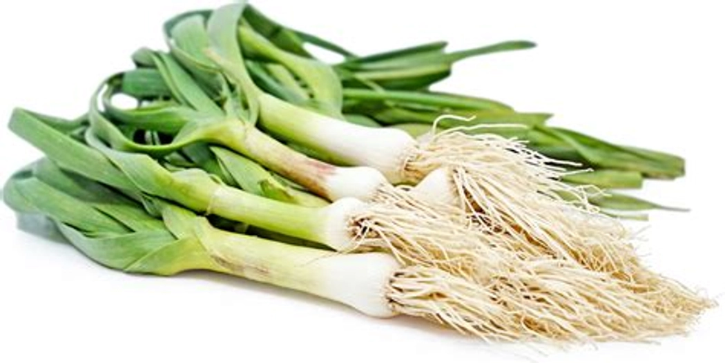 Garlic Green