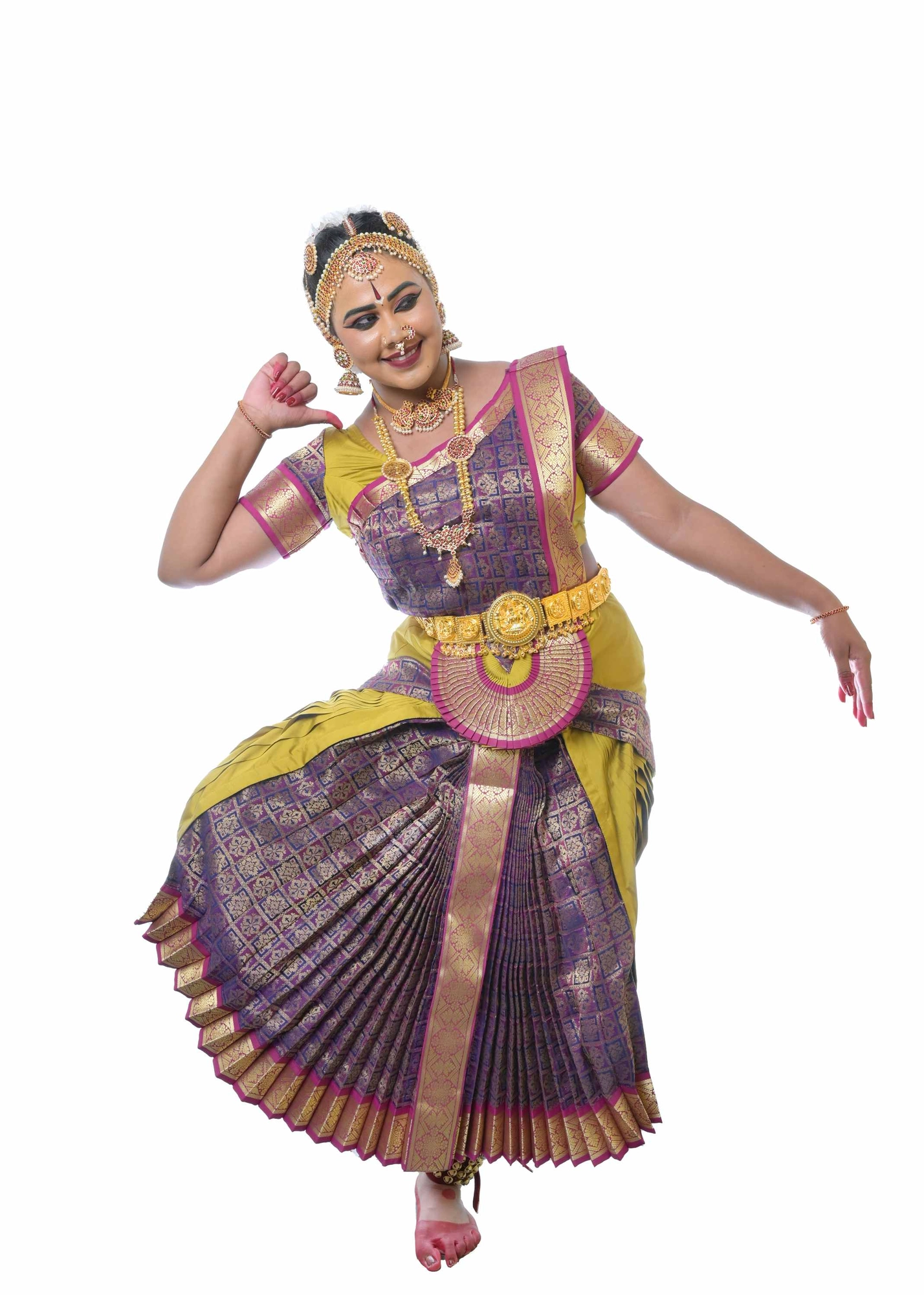 Bharatanatyam Costume Fully Stitched | Sun Pleat | Olive and Purple ...