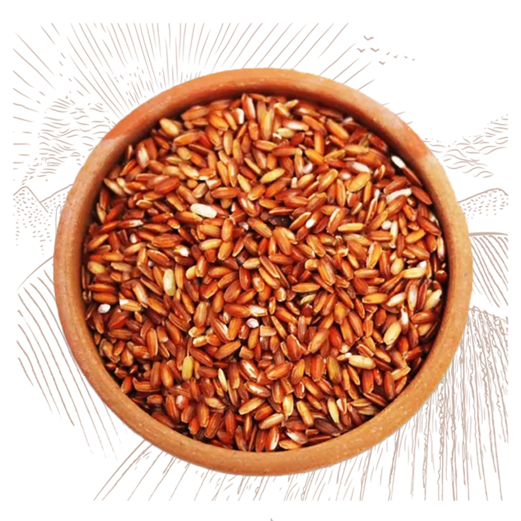 Buy Poongar Red Rice - Authentic & Nutritious