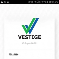 vestige online shop
