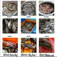 Suraj Fish & Crab Corner