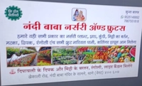 Nandi Baba Nursery And Fruit