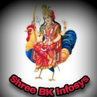 Shree BK Infosys
