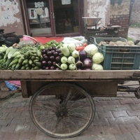 Rajan Vegetables
