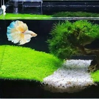 AQUA PETS GARDEN