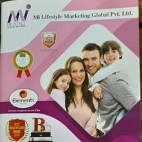 India Shoppe ( MI Lifestyle Marketing)