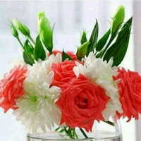 Sajani Shop A Waluj Mahanagar Aurangabad