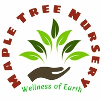 Maple Tree Nursery