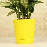 Yash Plastic ,Plastic Pots , Flower Pots (7836036361)