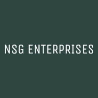 NSG ENTERPRISES