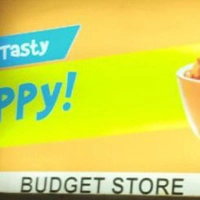 Budget Store