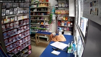 Dinesh Pharmacy