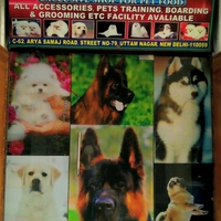 Wisdom Pet Mart