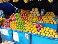 Sandeep Fruits