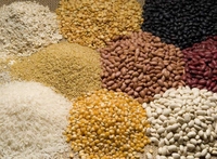 Sushil Traders