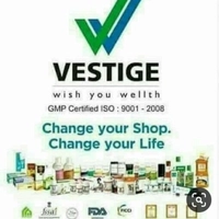 Vestige Company Marketing