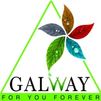 GALWAY STORE