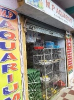 M.P AQUARIUM