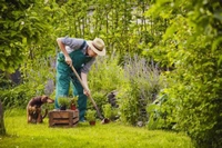 Om Organic Foods and Services
