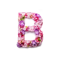 Blossom_Bags 👜👛🛍️