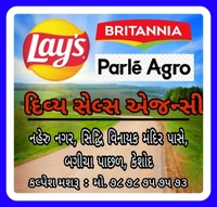 Divy Sales Agency
