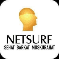 Netsurf Store