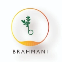 Brahmani Arts