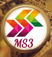 Ms3