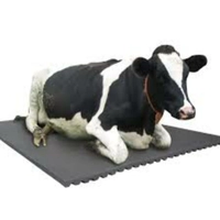 Cow Mat Shop
