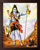 Shivam Seeds