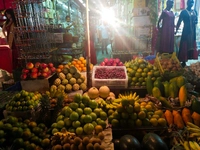 Raj Fruit Supplier