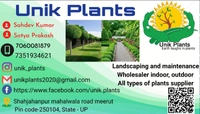 Unik Plants☘️