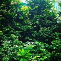 Eco Organics