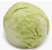Vegetable