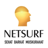 Netsurf Vision Enterprise