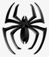 The Spider Shop