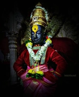 Vithai Traders & Supplier