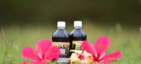 ADIVASHI HERBAL NEELAMBARI BRUNGARAJ HAIR OIL