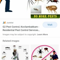5 Star Pest Control