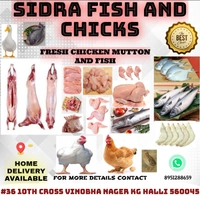 SIDRA FISH AND CHICKS