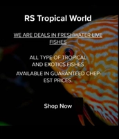 RS TROPICAL WORLD