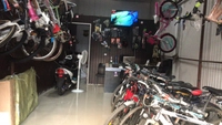 Mavick E Vehicles